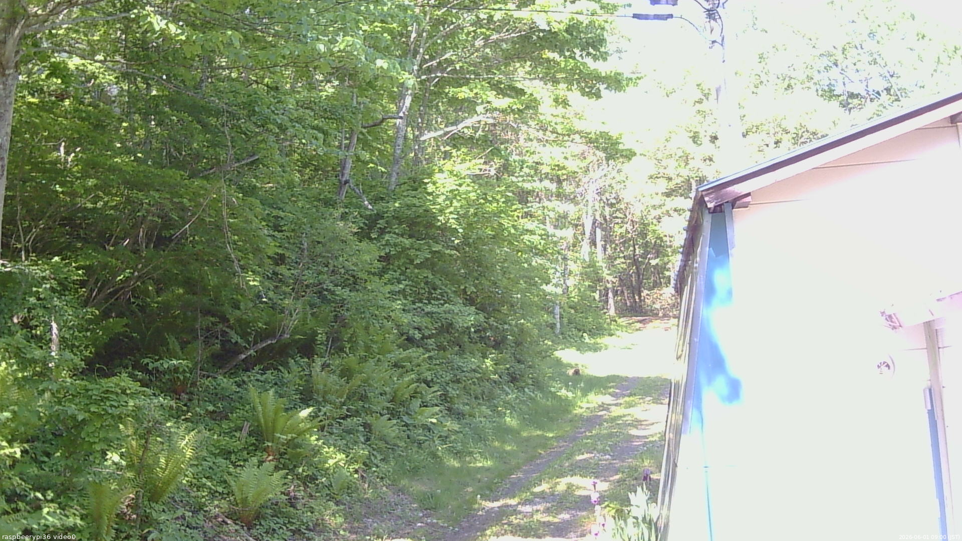 長野県菅平高原 ゆたか山荘 ゆたか山荘 2026/06/01 09:00