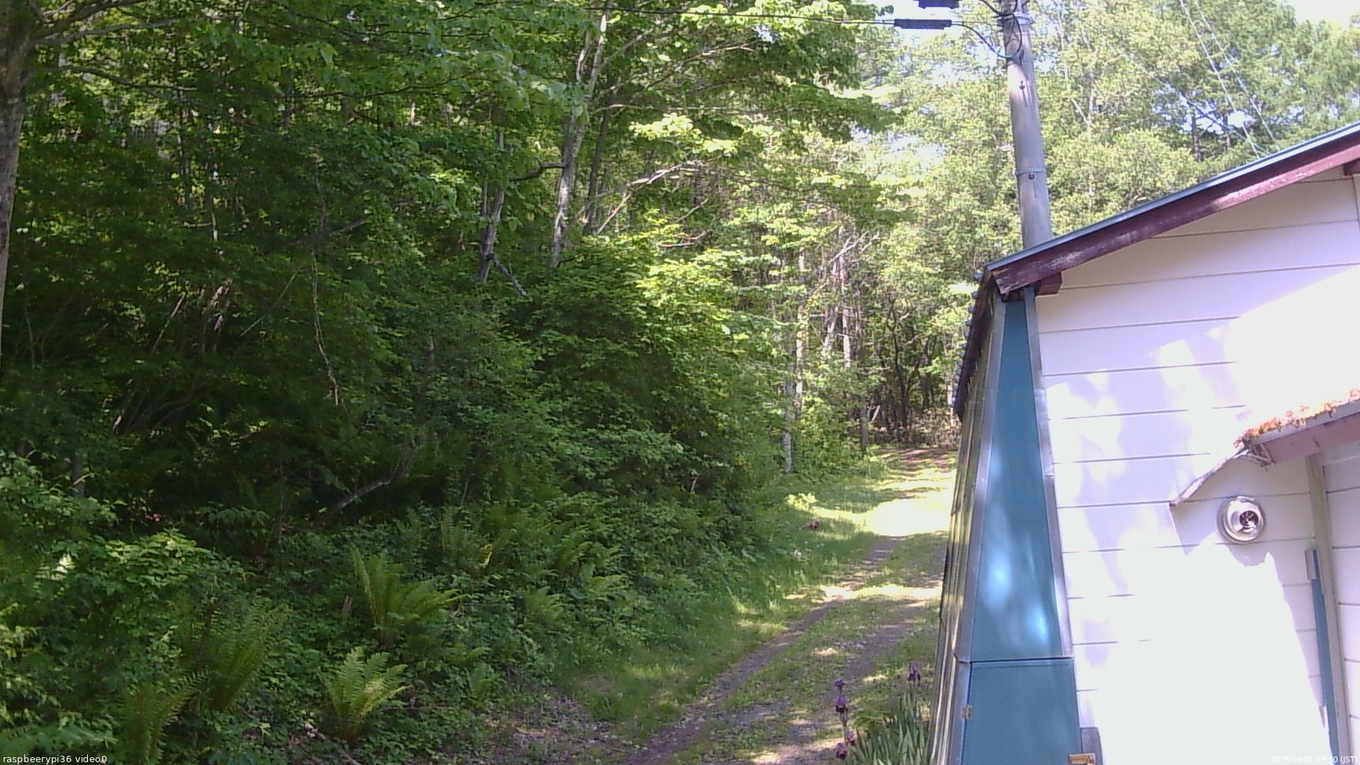 長野県菅平高原 ゆたか山荘 ゆたか山荘 2026/06/01 09:30
