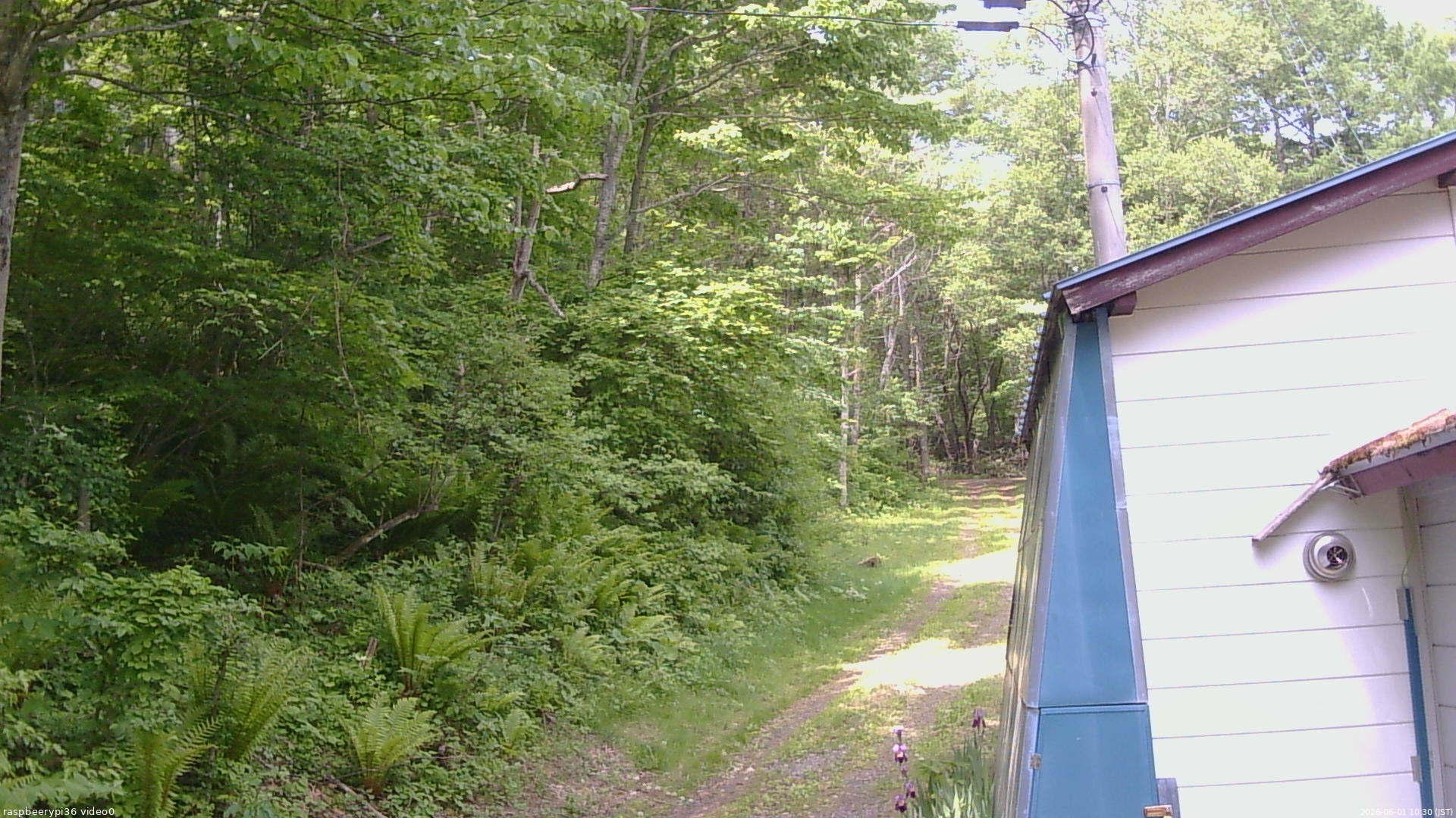 長野県菅平高原 ゆたか山荘 ゆたか山荘 2026/06/01 10:30