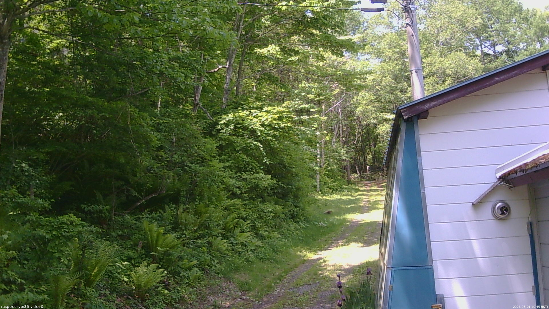 長野県菅平高原 ゆたか山荘 ゆたか山荘 2026/06/01 10:45