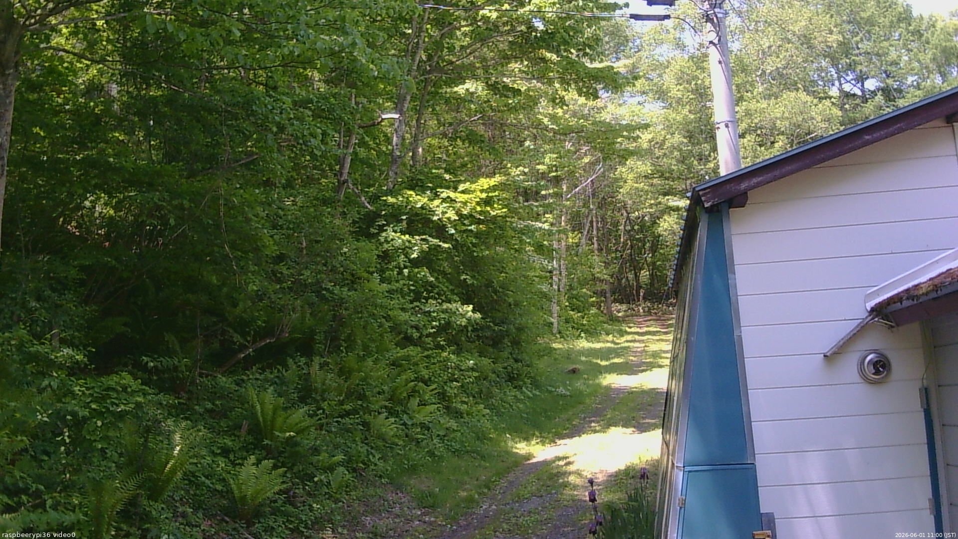 長野県菅平高原 ゆたか山荘 ゆたか山荘 2026/06/01 11:00