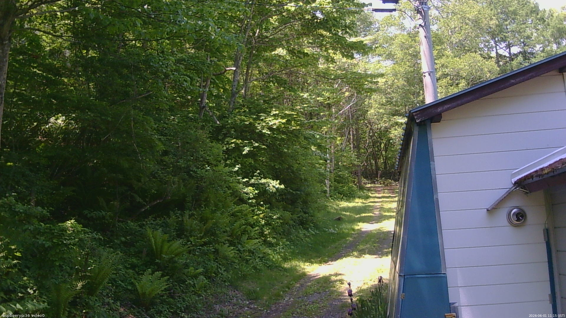 長野県菅平高原 ゆたか山荘 ゆたか山荘 2026/06/01 11:15