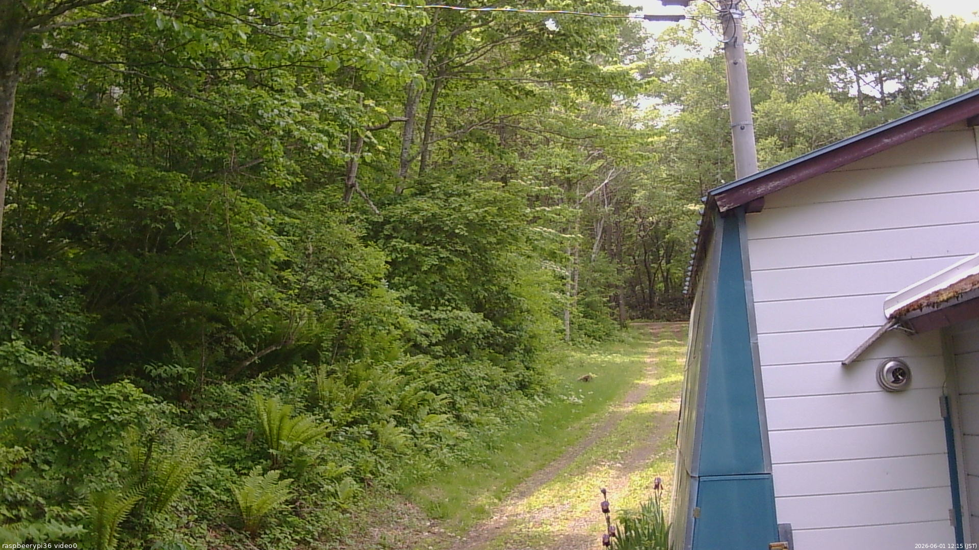 長野県菅平高原 ゆたか山荘 ゆたか山荘 2026/06/01 12:15
