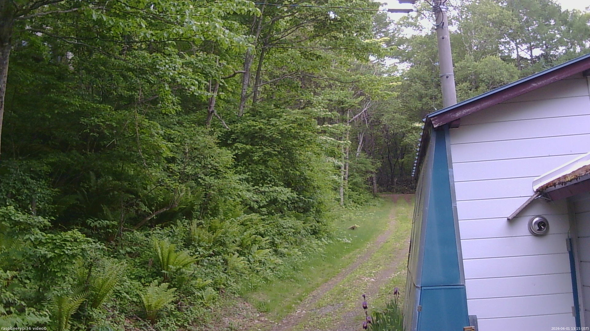 長野県菅平高原 ゆたか山荘 ゆたか山荘 2026/06/01 13:15