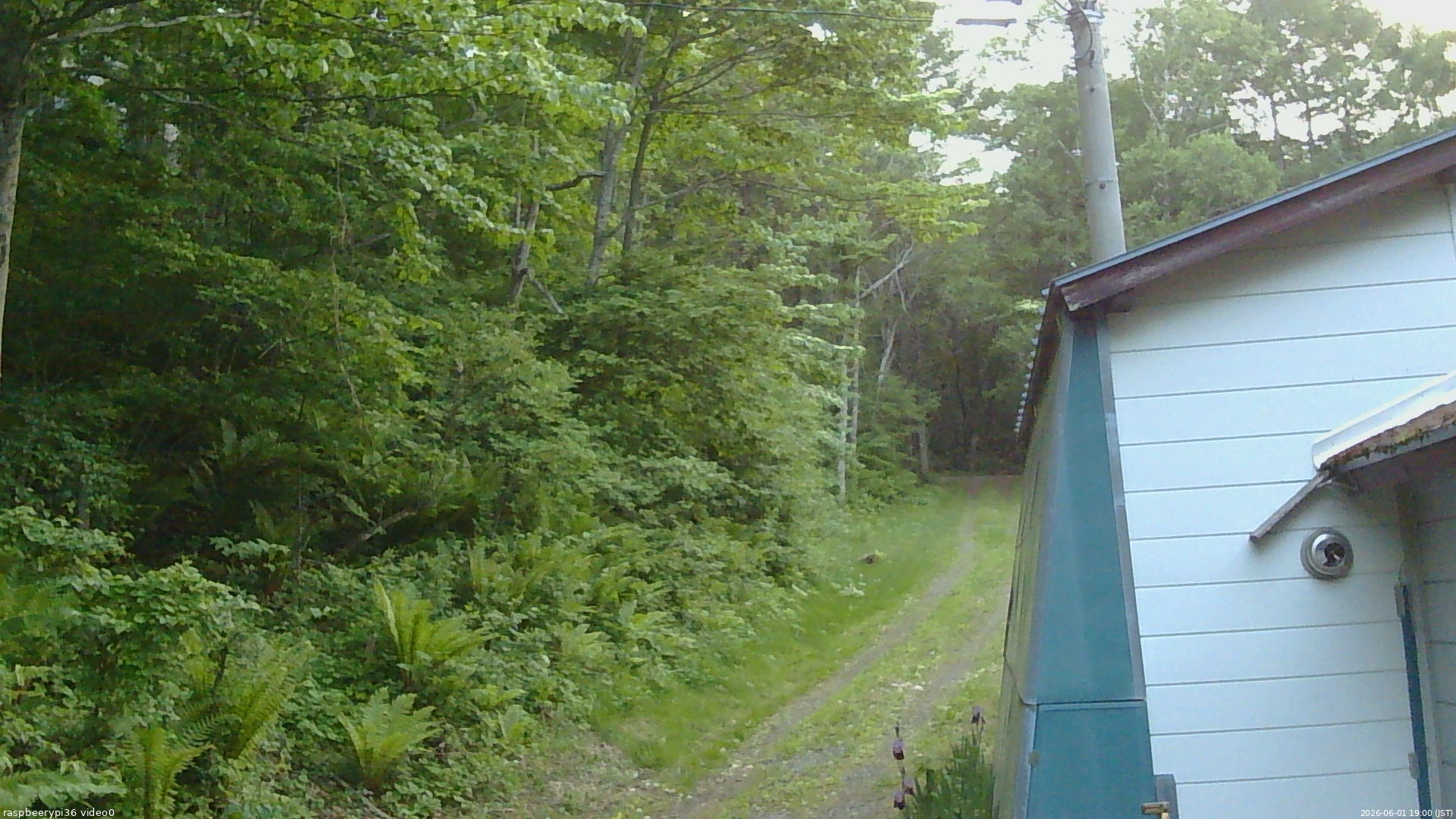 長野県菅平高原 ゆたか山荘 ゆたか山荘 2026/06/01 19:00
