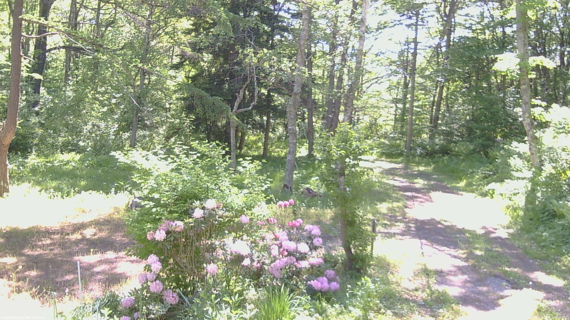 長野県菅平高原 ゆたか山荘 坂上 2026/06/01 09:00