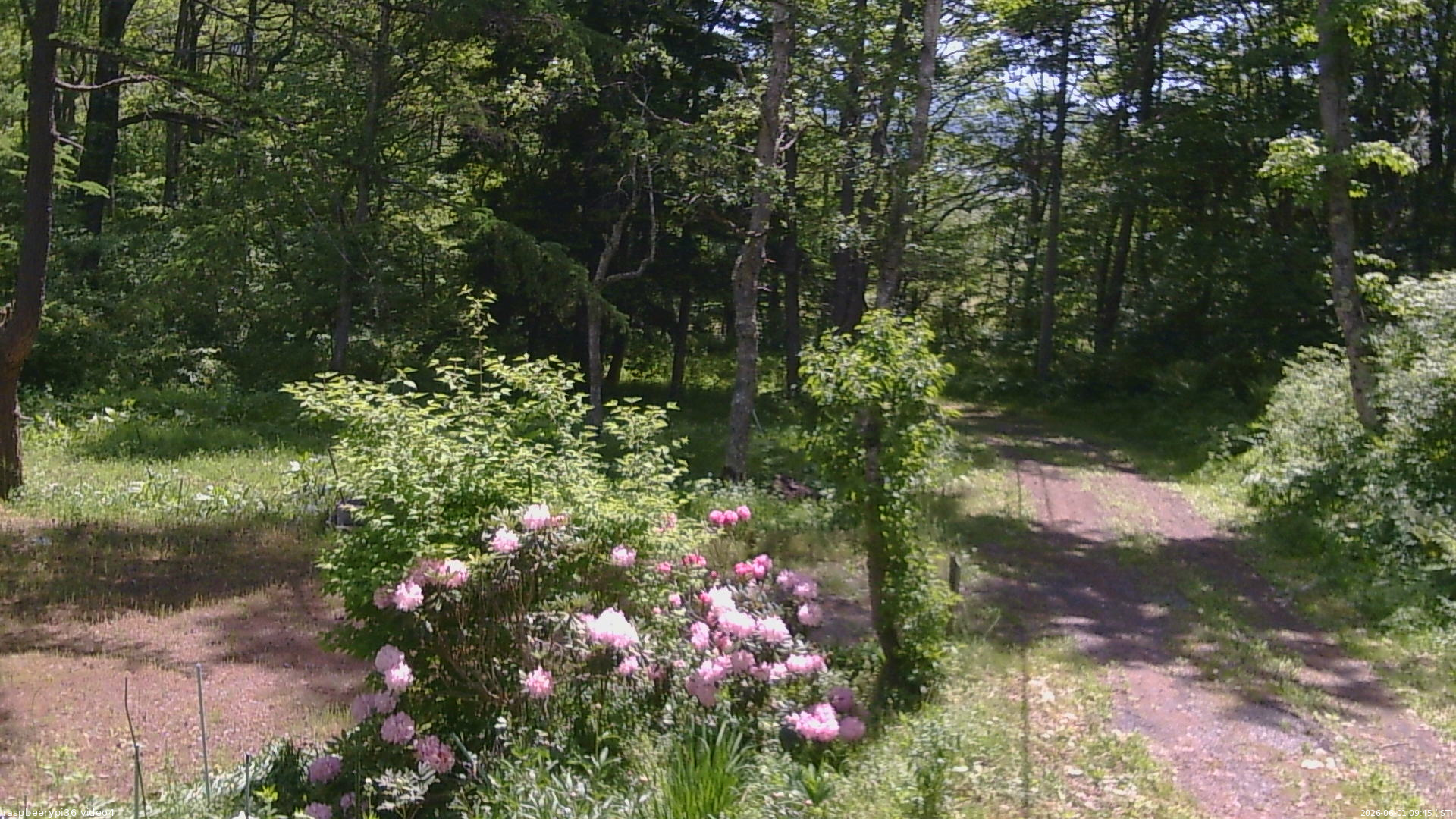 長野県菅平高原 ゆたか山荘 坂上 2026/06/01 09:45