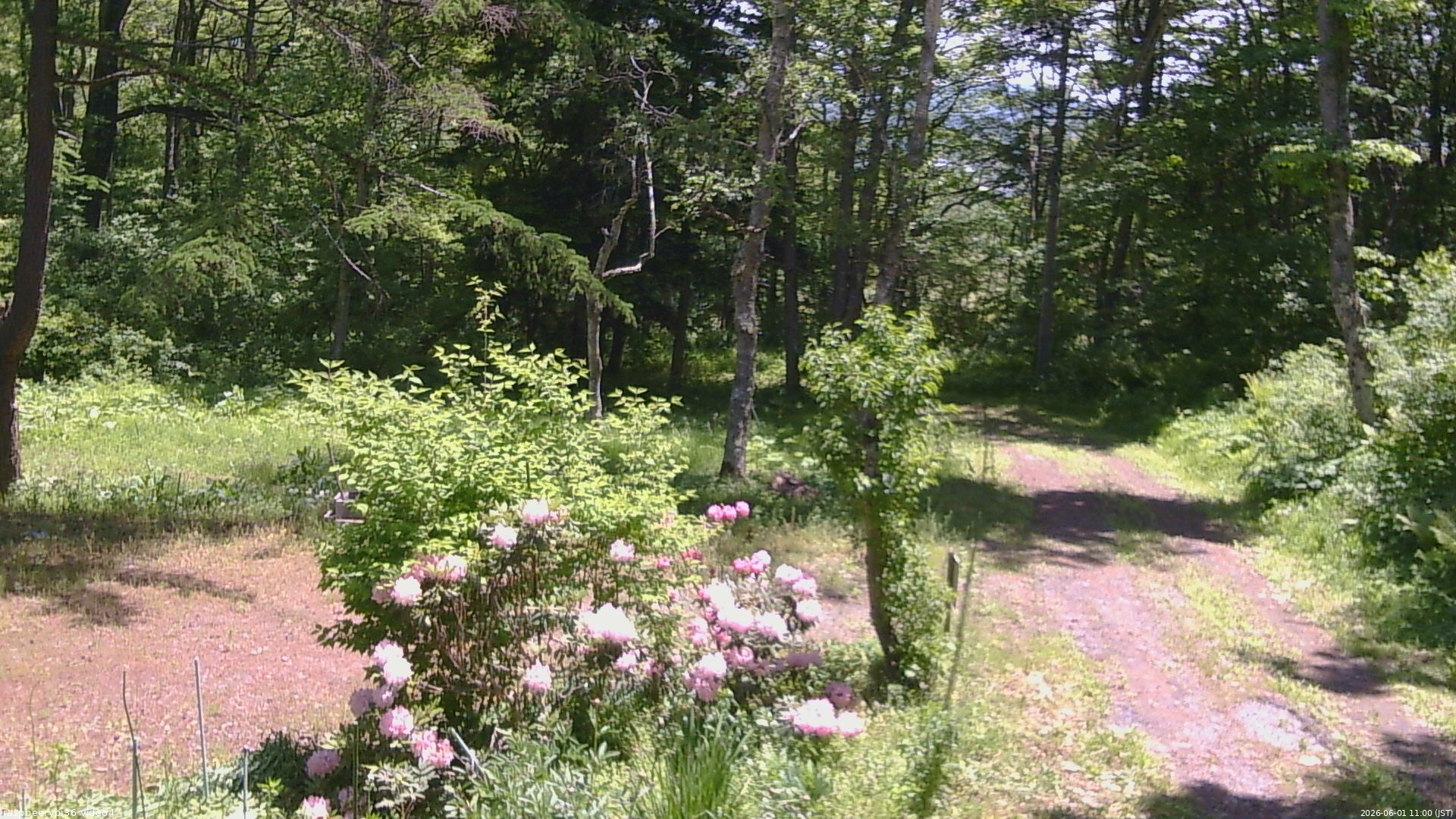 長野県菅平高原 ゆたか山荘 坂上 2026/06/01 11:00