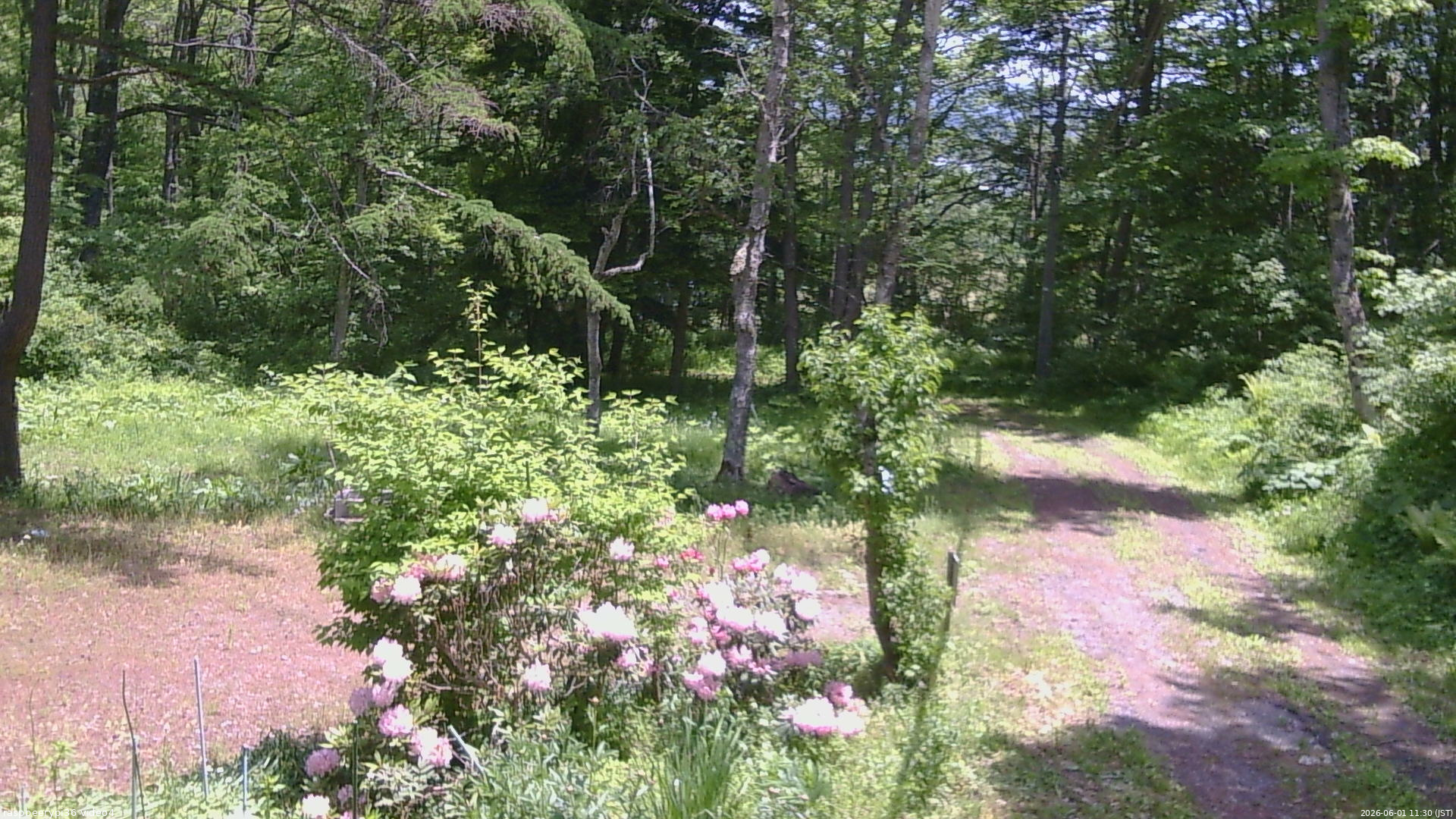 長野県菅平高原 ゆたか山荘 坂上 2026/06/01 11:30