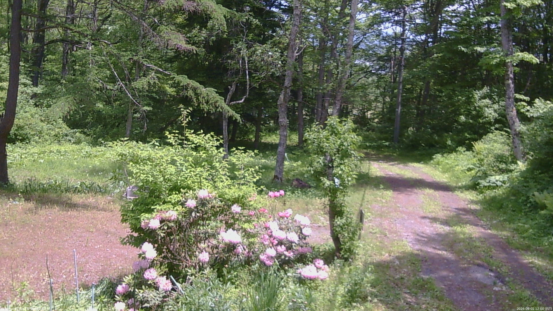 長野県菅平高原 ゆたか山荘 坂上 2026/06/01 12:00