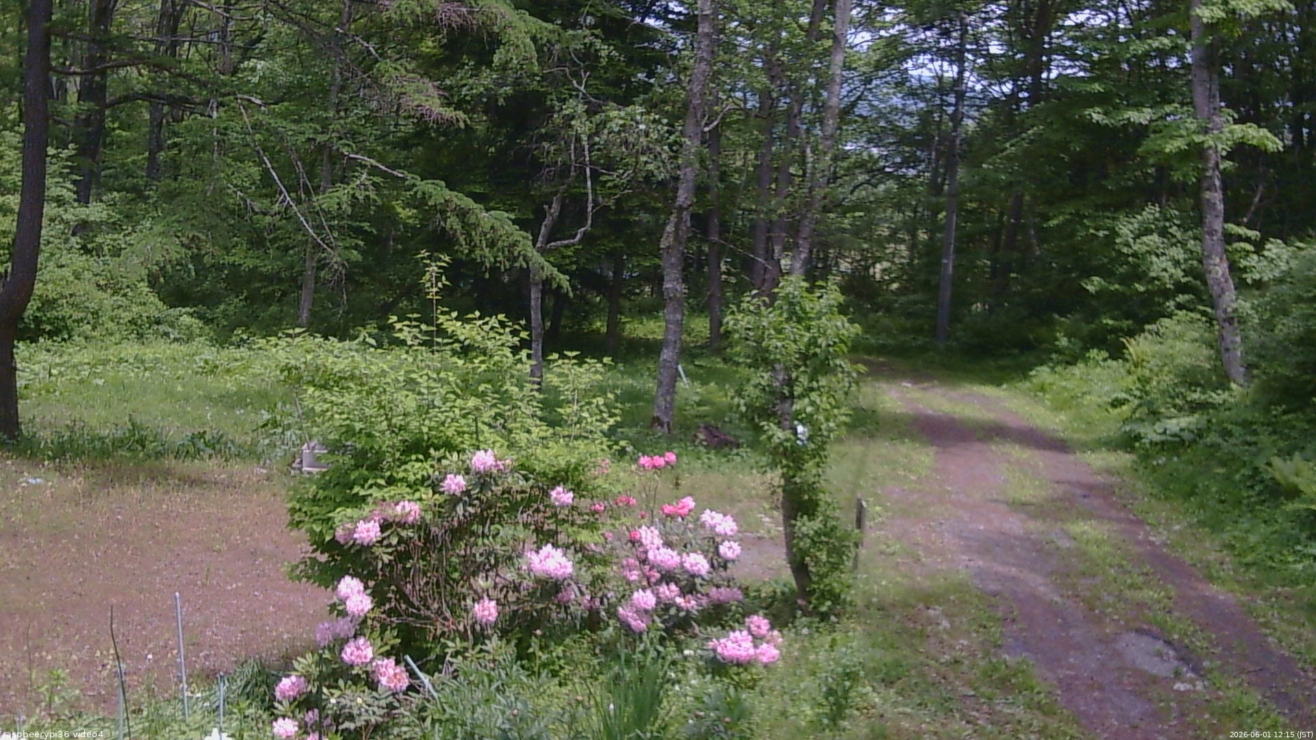 長野県菅平高原 ゆたか山荘 坂上 2026/06/01 12:15