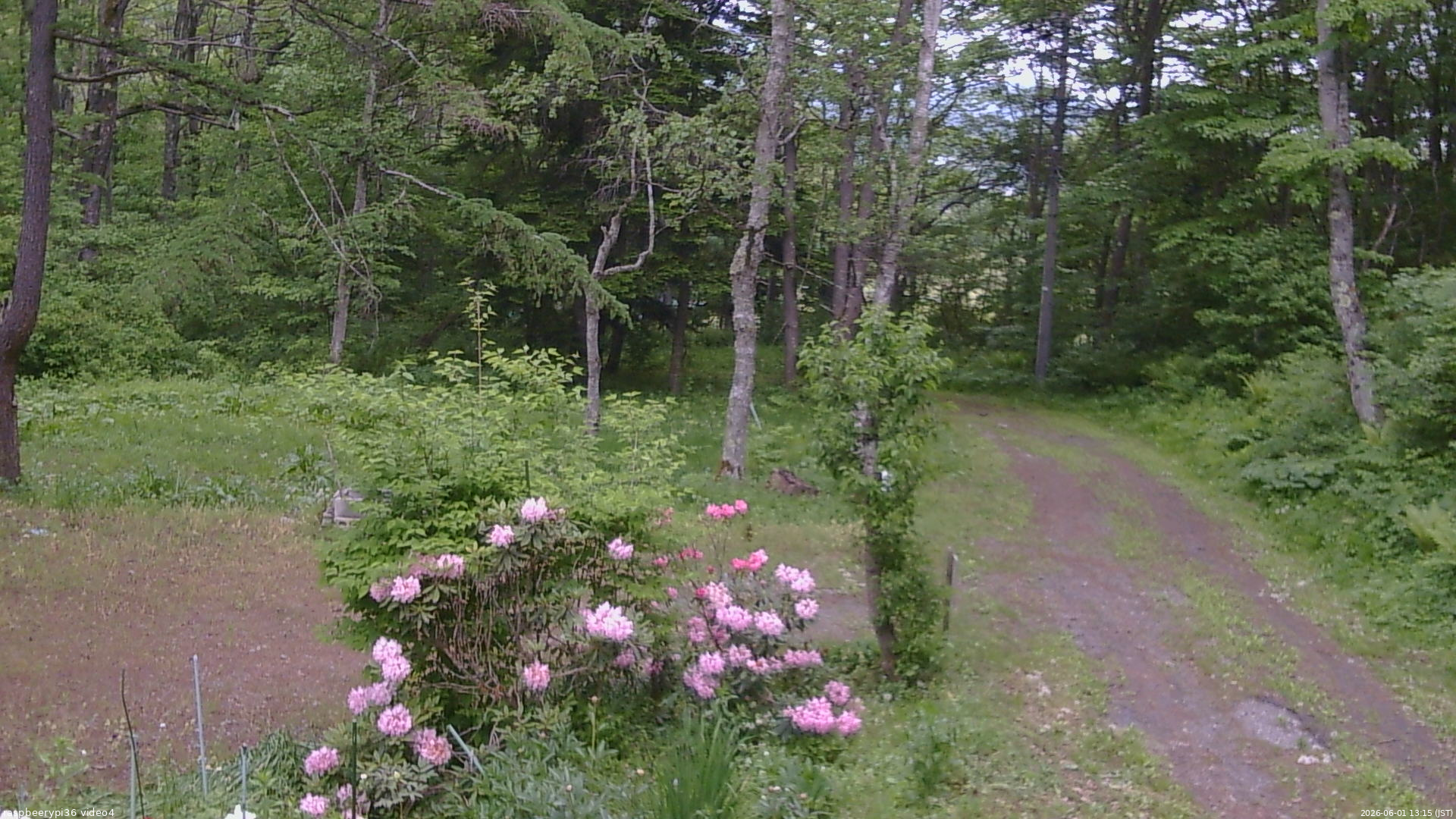 長野県菅平高原 ゆたか山荘 坂上 2026/06/01 13:15