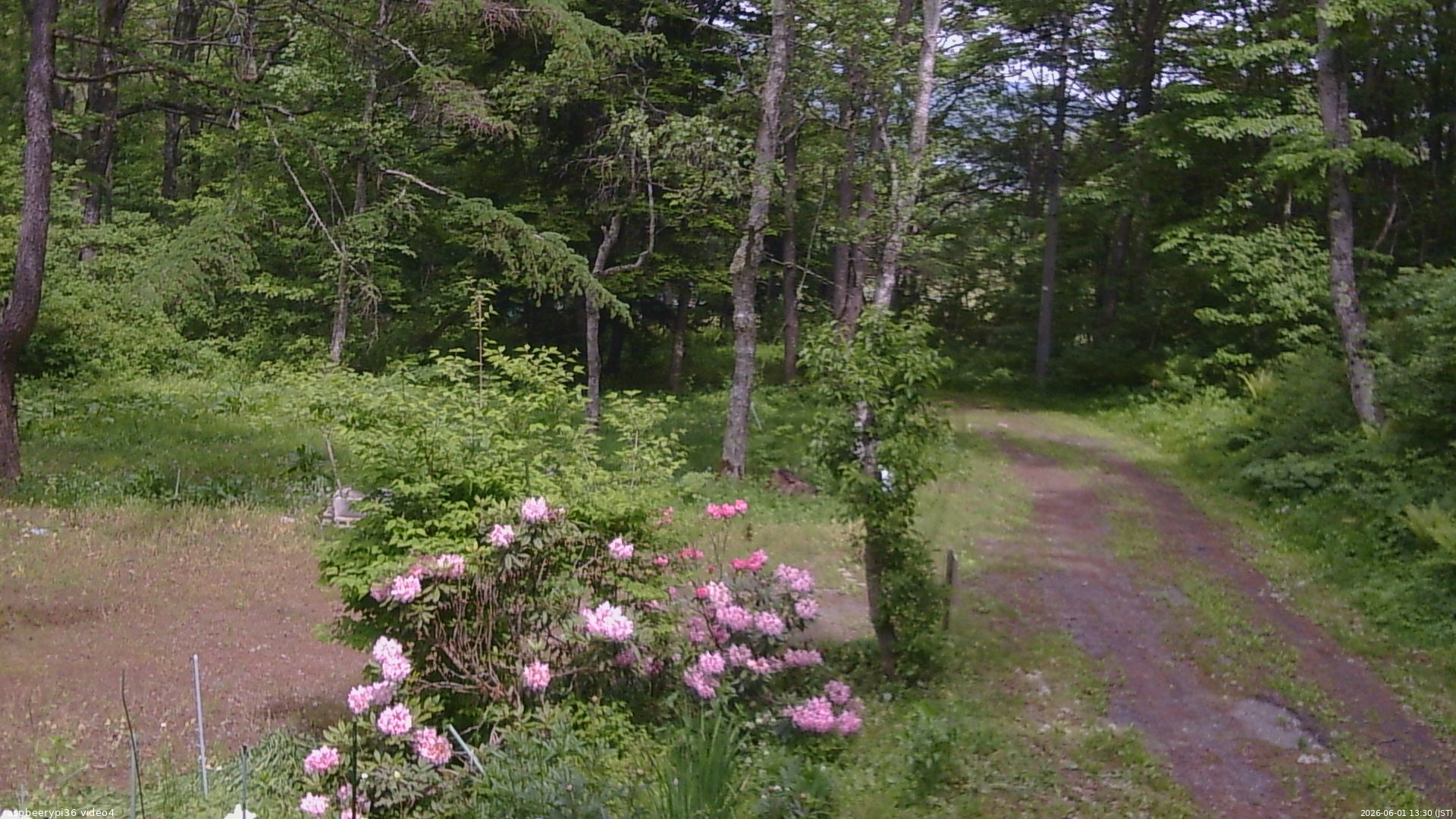 長野県菅平高原 ゆたか山荘 坂上 2026/06/01 13:30