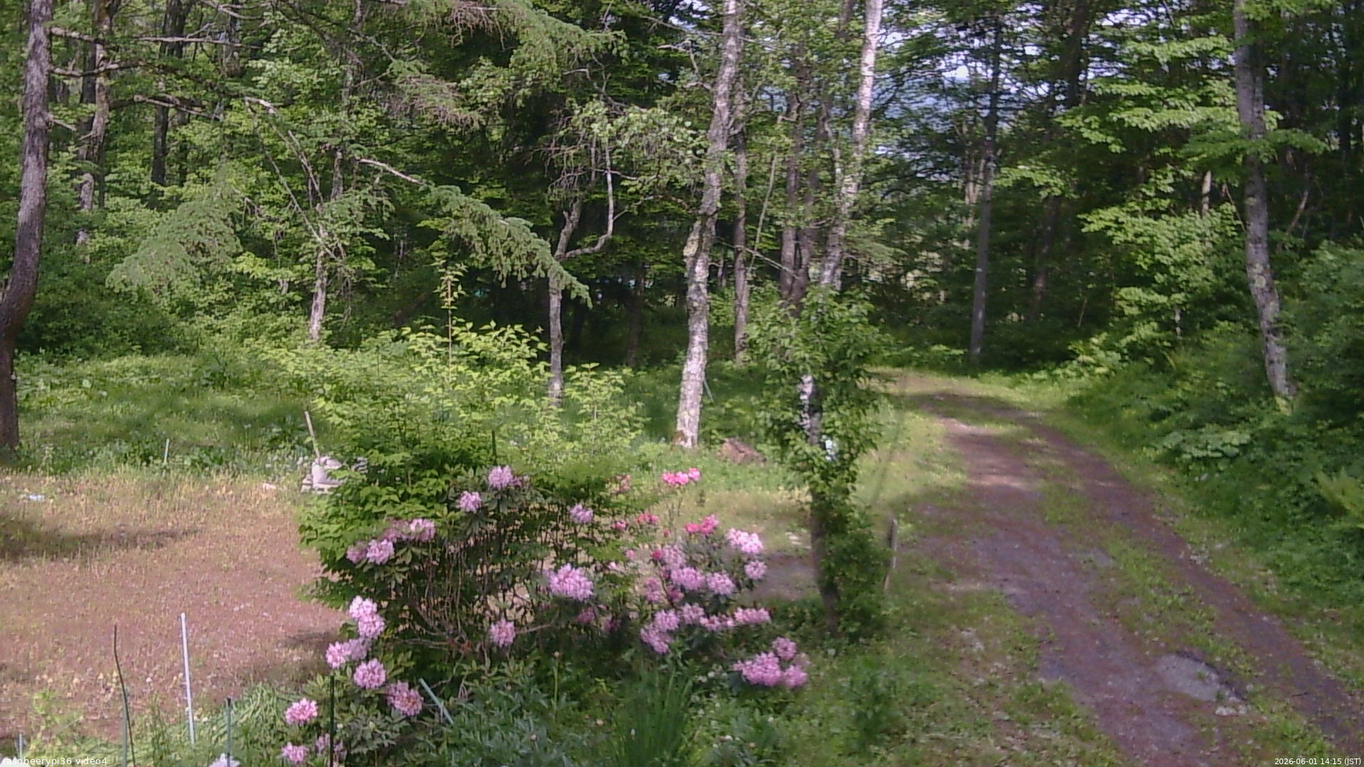 長野県菅平高原 ゆたか山荘 坂上 2026/06/01 14:15