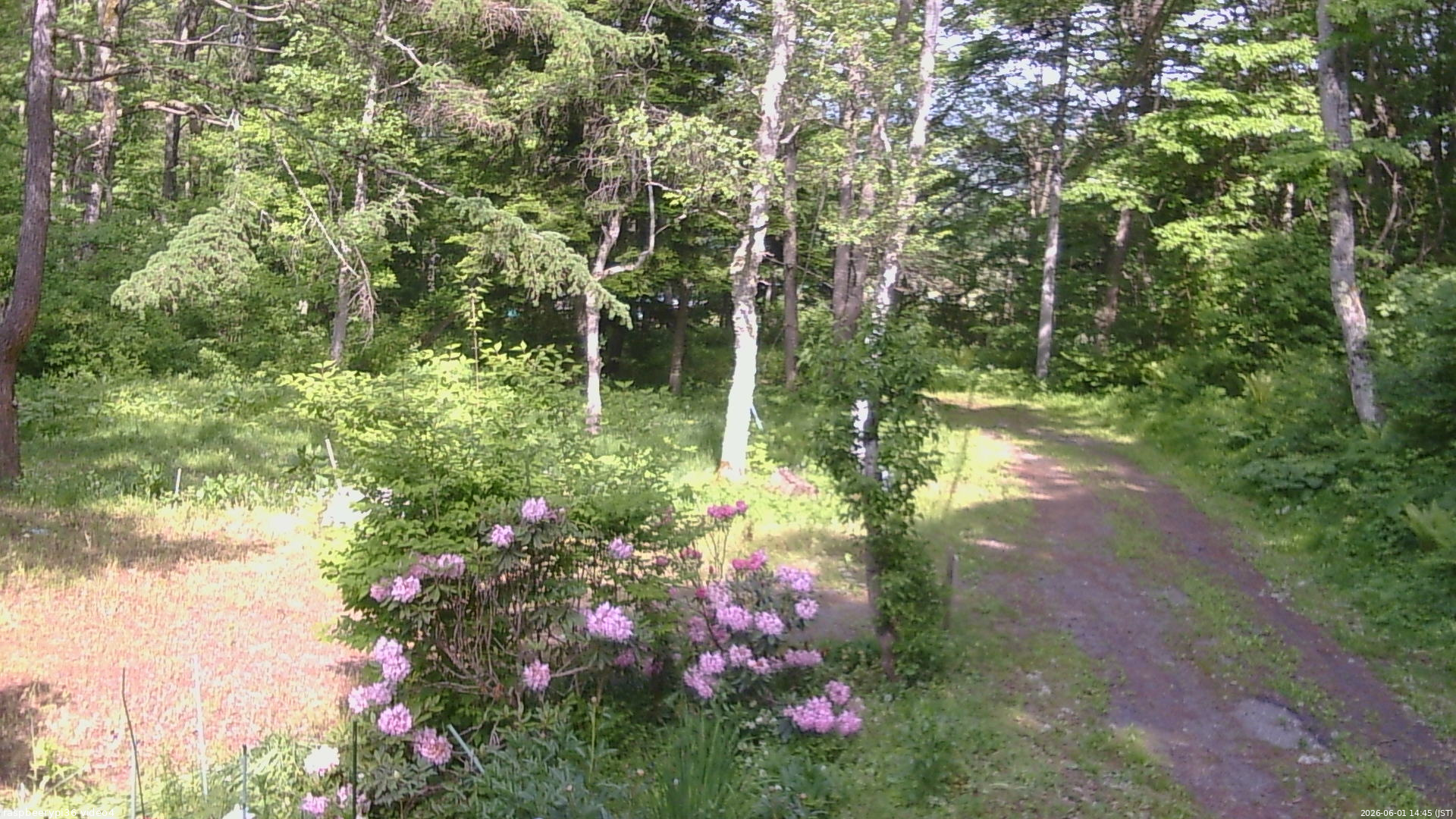 長野県菅平高原 ゆたか山荘 坂上 2026/06/01 14:45