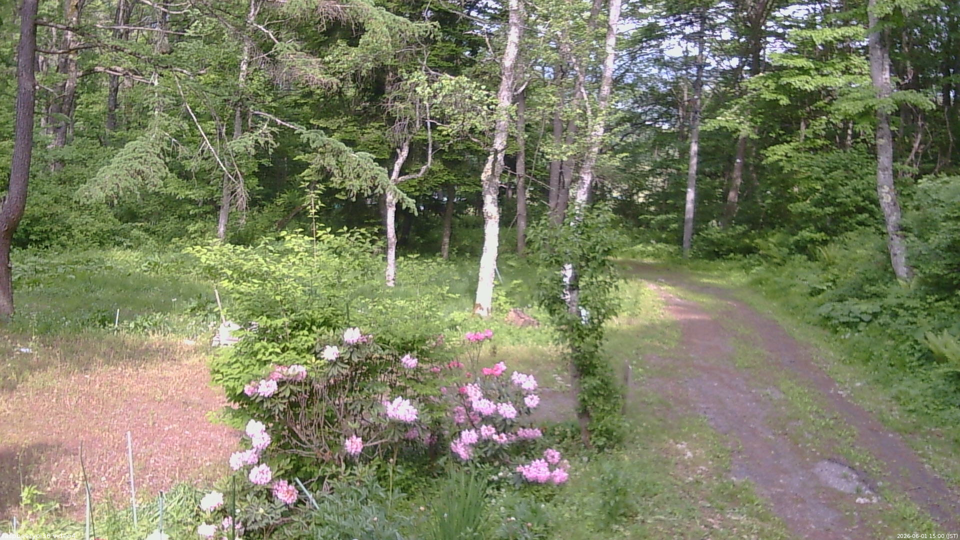 長野県菅平高原 ゆたか山荘 坂上 2026/06/01 15:00