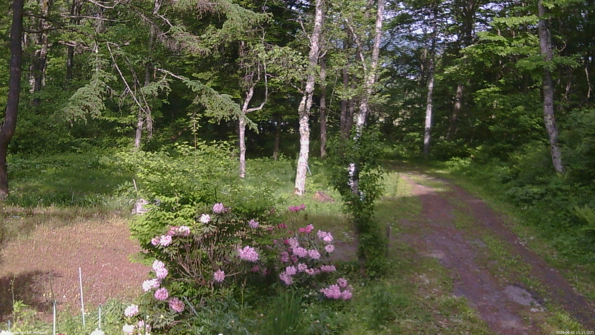 長野県菅平高原 ゆたか山荘 坂上 2026/06/01 15:15