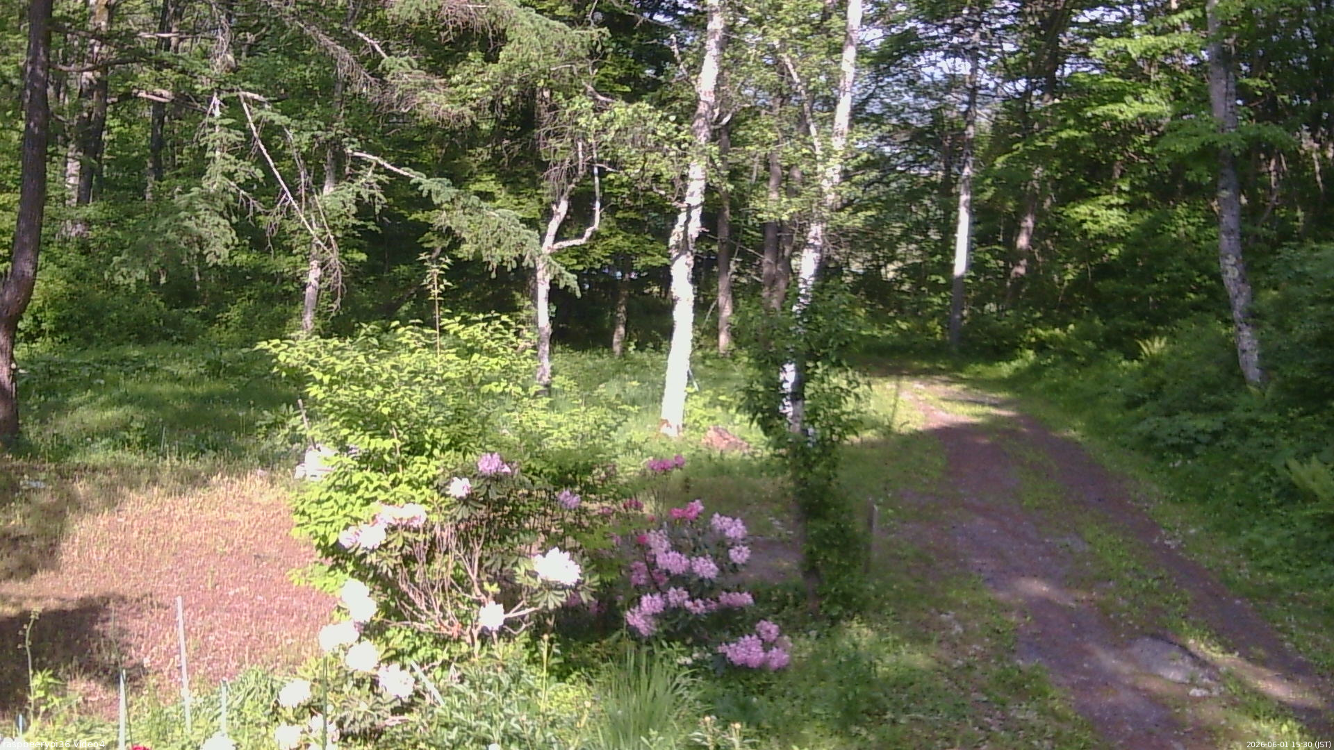 長野県菅平高原 ゆたか山荘 坂上 2026/06/01 15:30