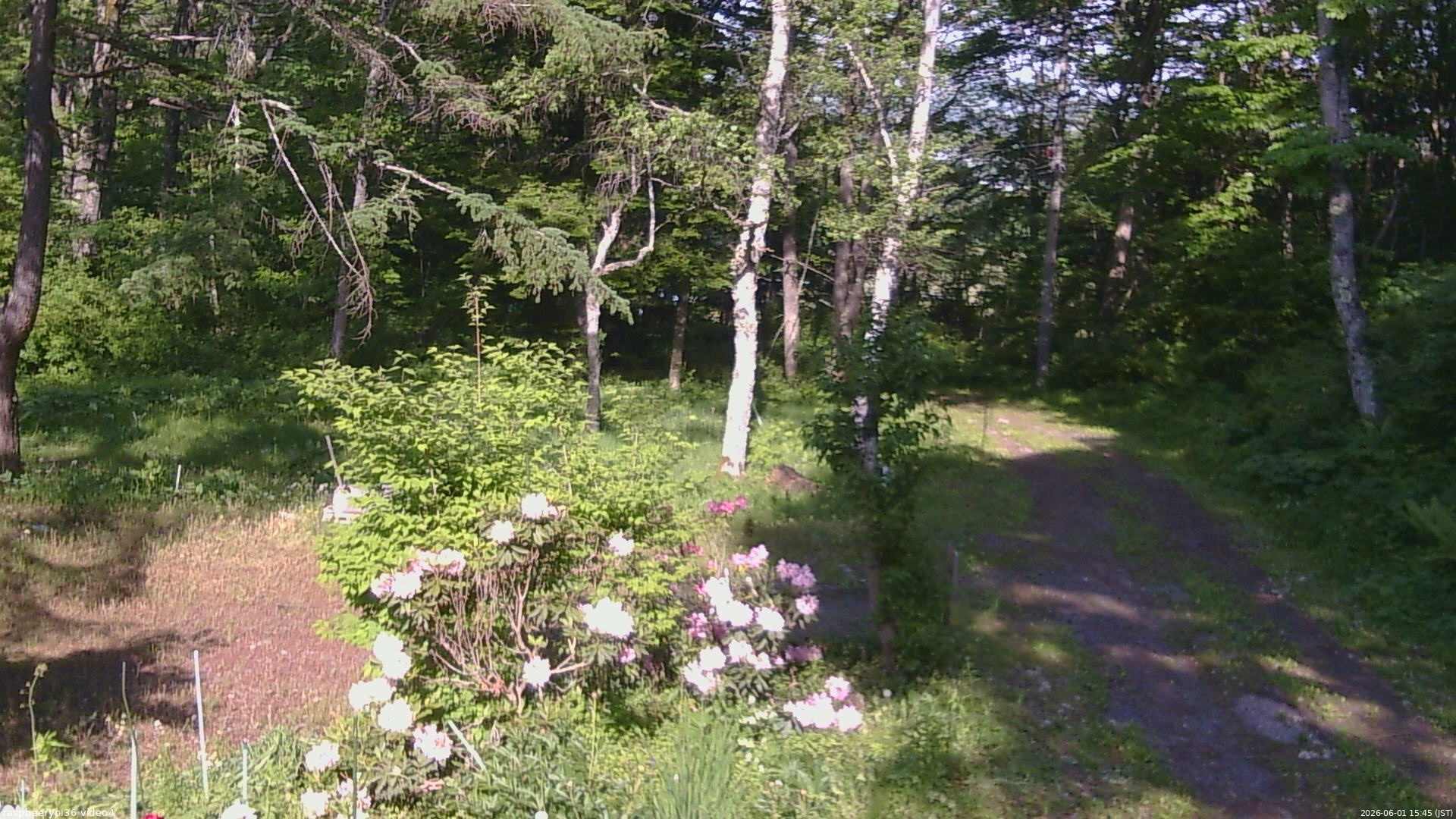 長野県菅平高原 ゆたか山荘 坂上 2026/06/01 15:45