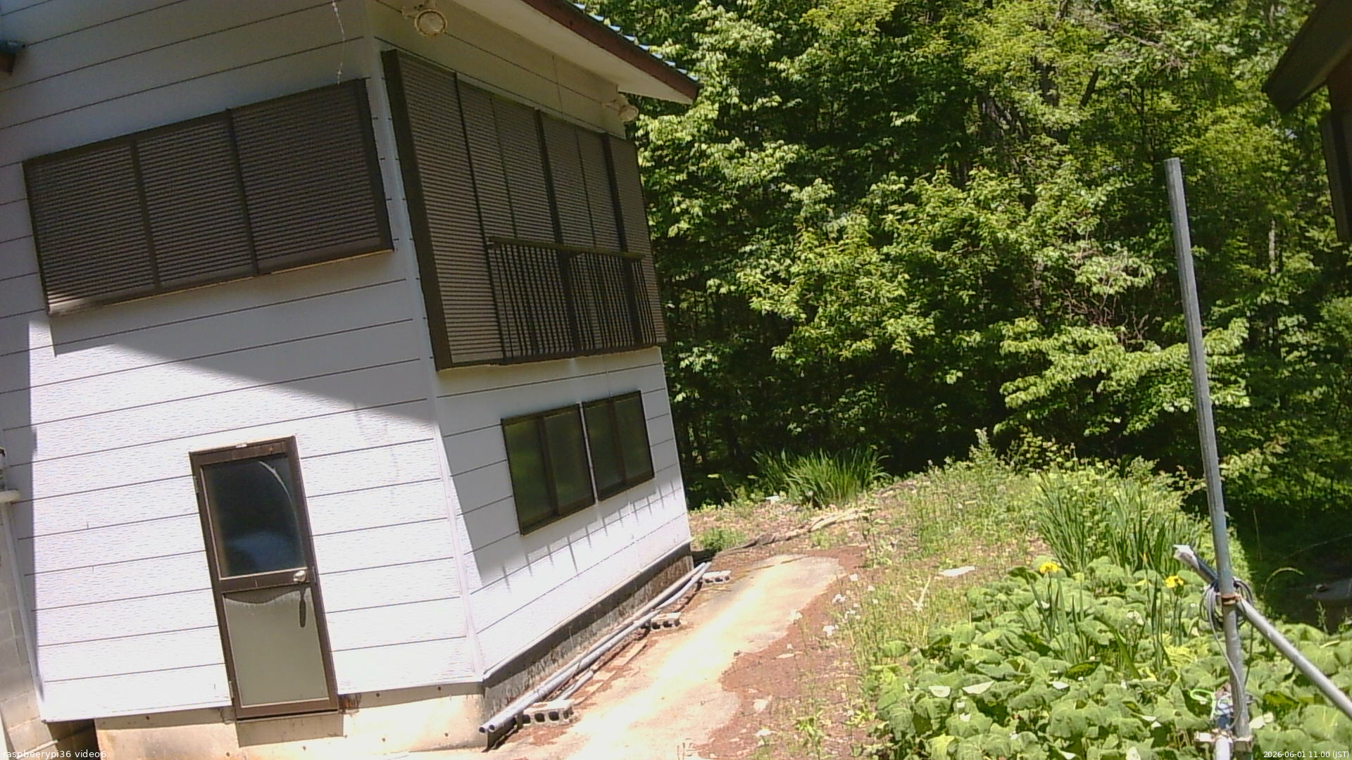 長野県菅平高原 ゆたか山荘 坂下 2026/06/01 11:00