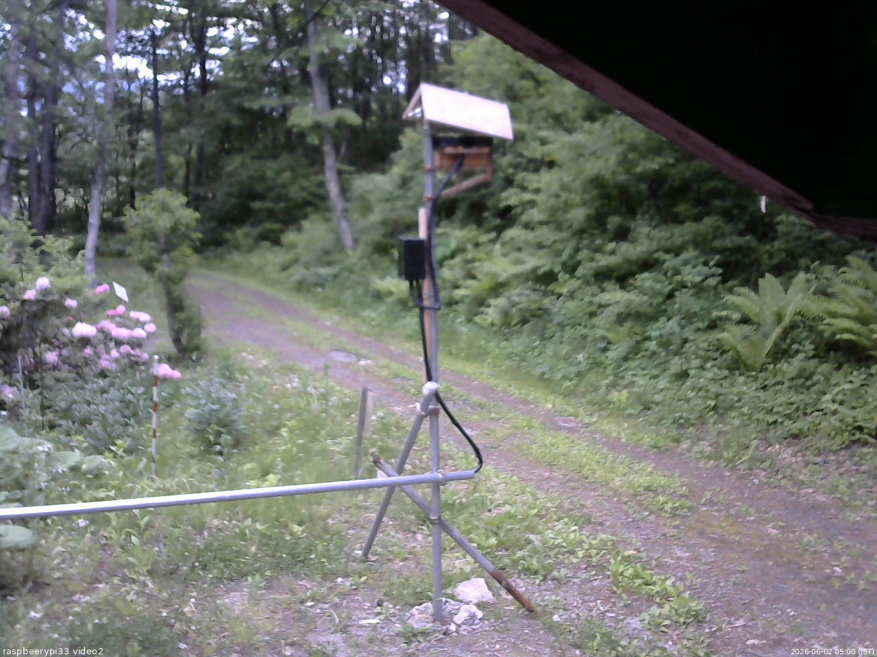 長野県菅平高原 ゆたか山荘 南側 2026/06/02 05:00