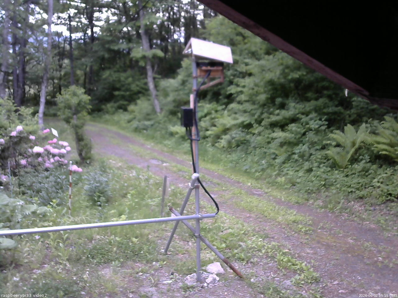 長野県菅平高原 ゆたか山荘 南側 2026/06/02 05:15