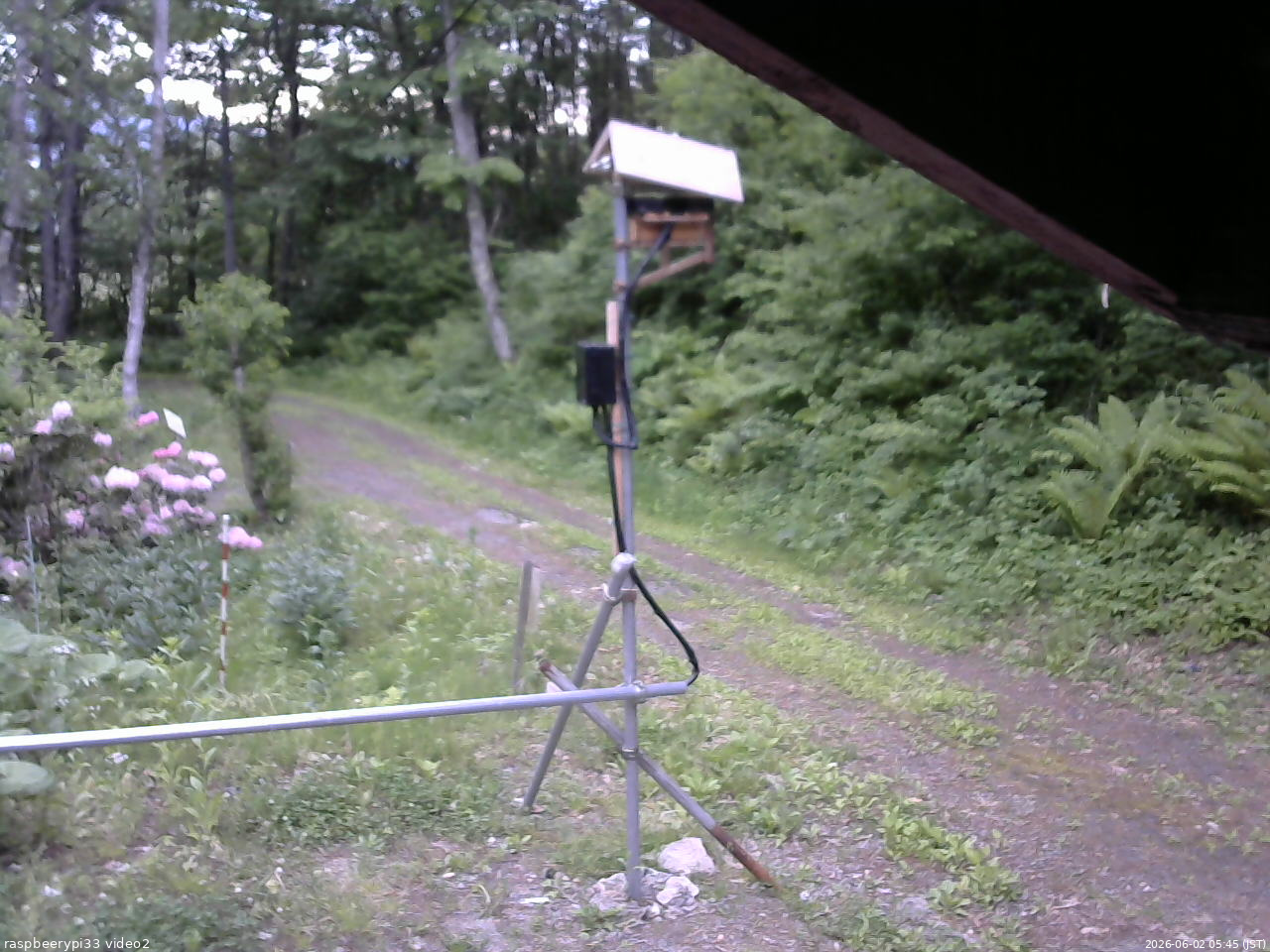 長野県菅平高原 ゆたか山荘 南側 2026/06/02 05:45