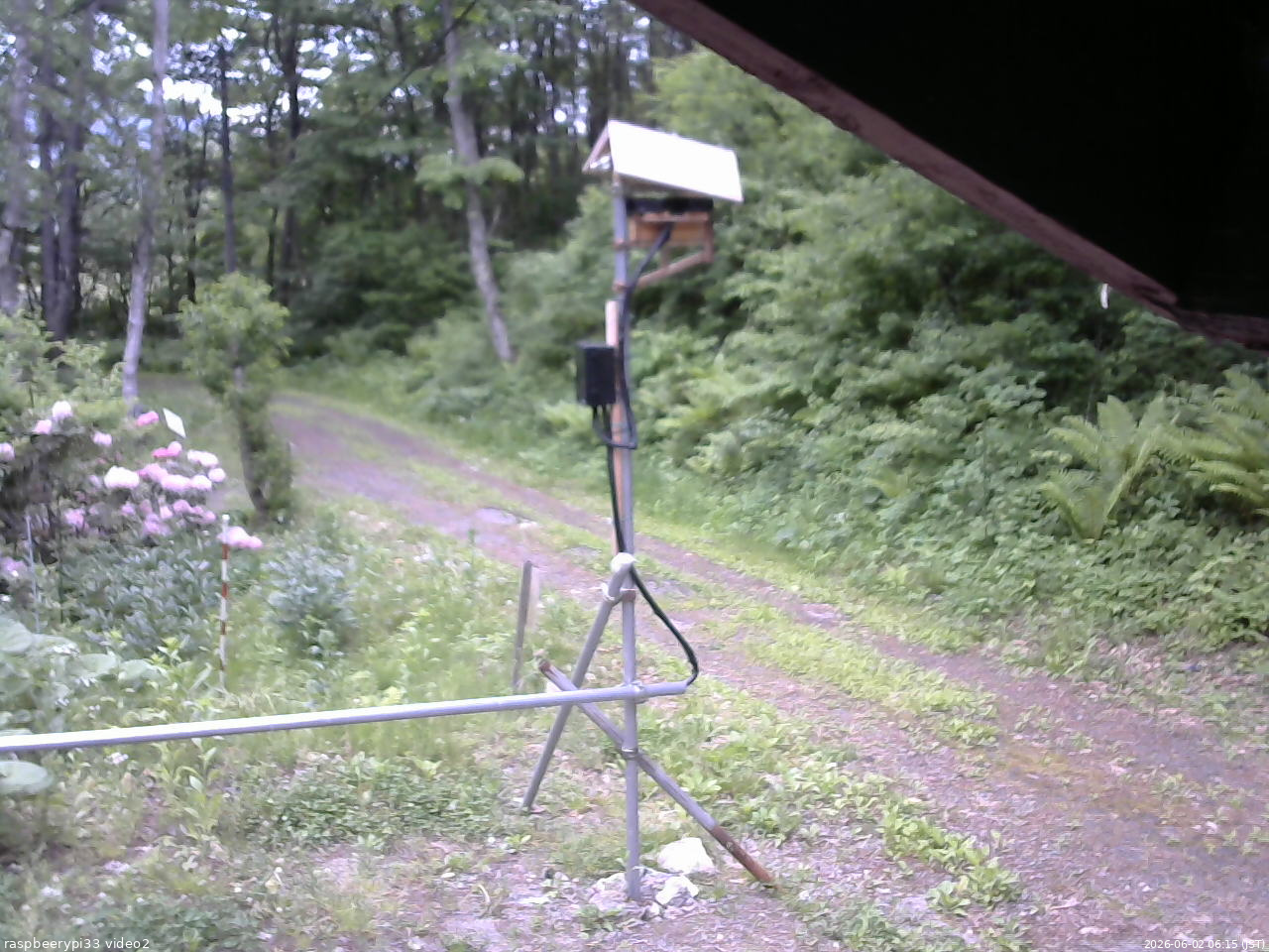 長野県菅平高原 ゆたか山荘 南側 2026/06/02 06:15