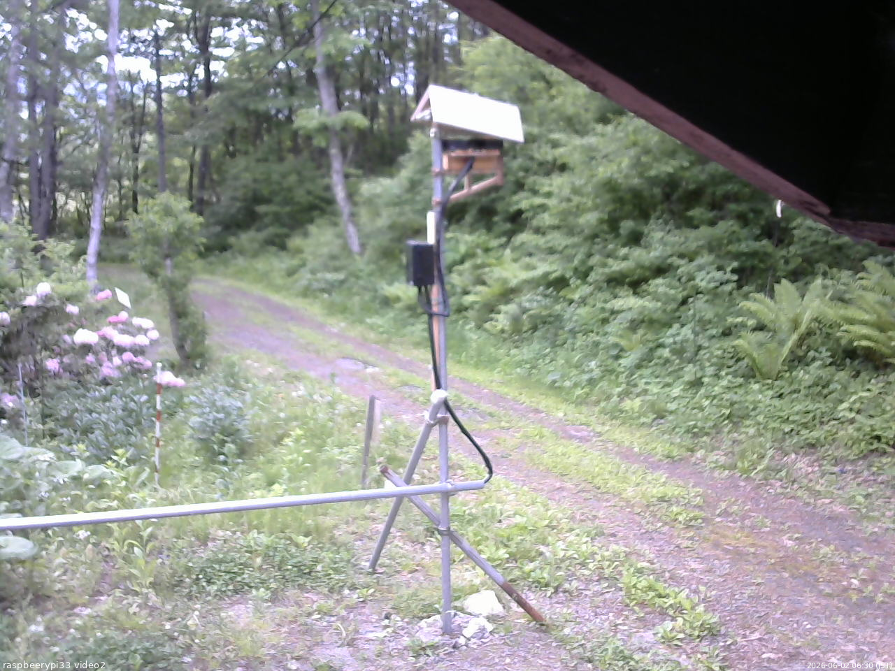 長野県菅平高原 ゆたか山荘 南側 2026/06/02 06:30