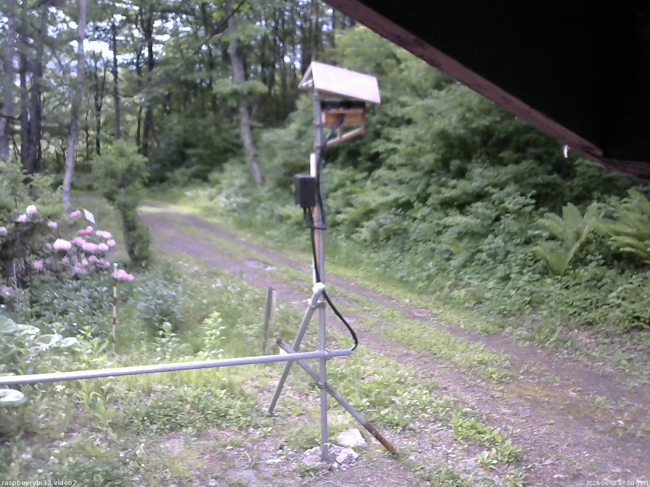 長野県菅平高原 ゆたか山荘 南側 2026/06/02 07:00