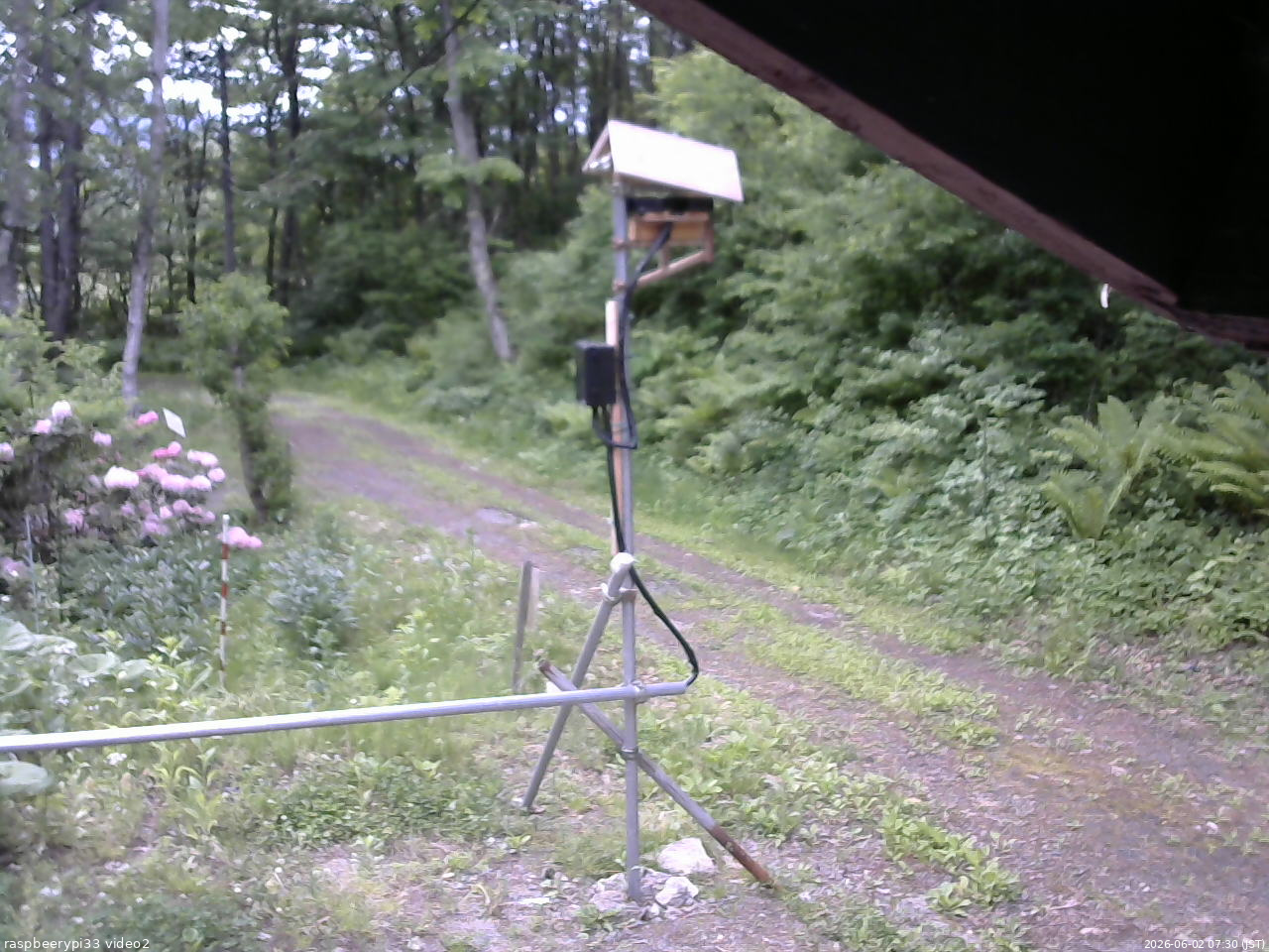 長野県菅平高原 ゆたか山荘 南側 2026/06/02 07:30