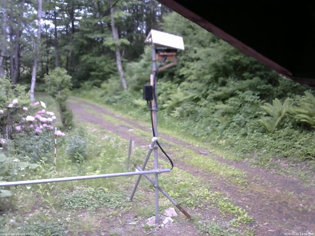 長野県菅平高原 ゆたか山荘 南側 2026/06/02 14:30