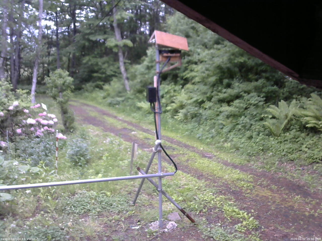 長野県菅平高原 ゆたか山荘 南側 2026/06/02 16:30