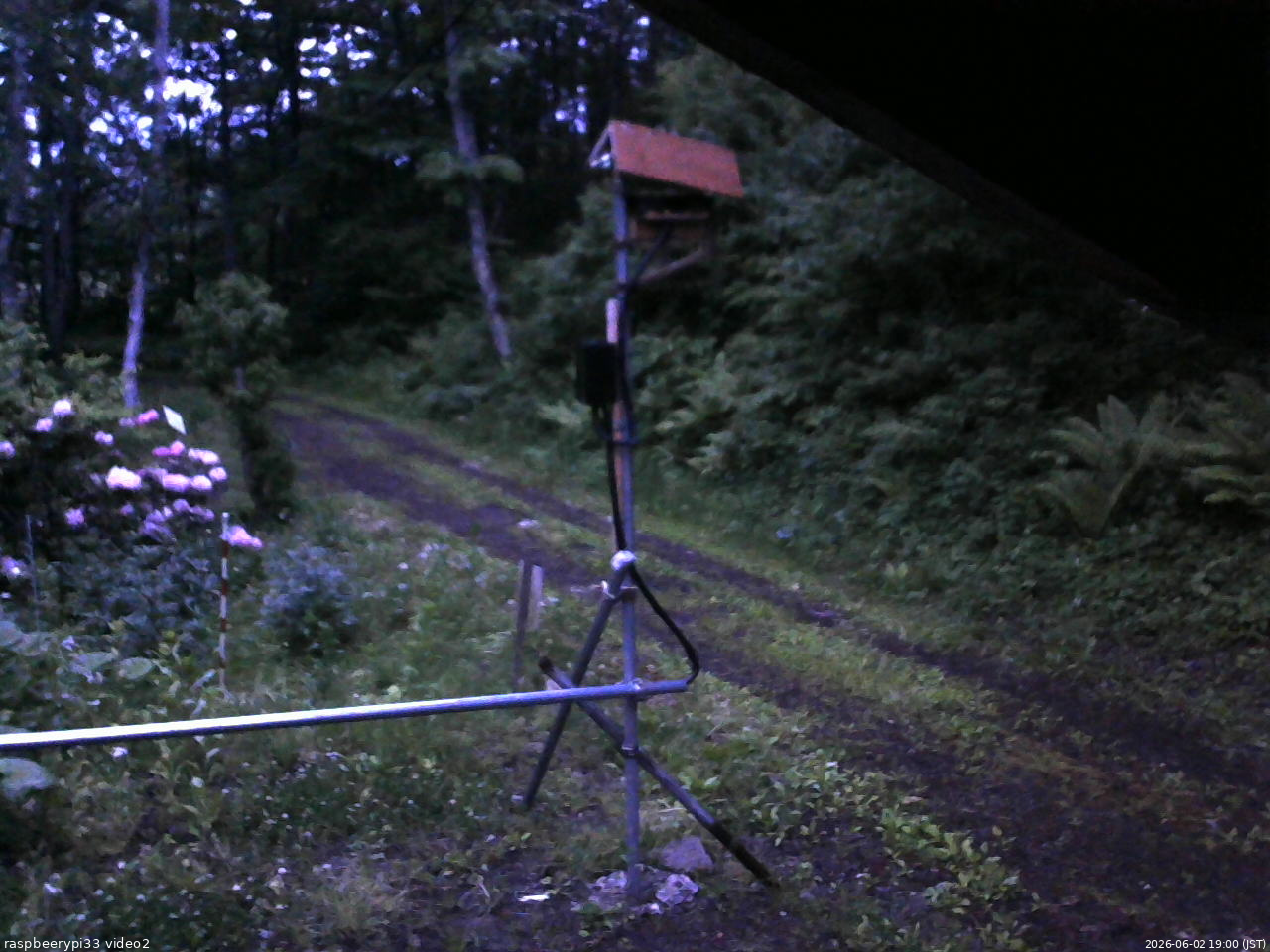 長野県菅平高原 ゆたか山荘 南側 2026/06/02 19:00