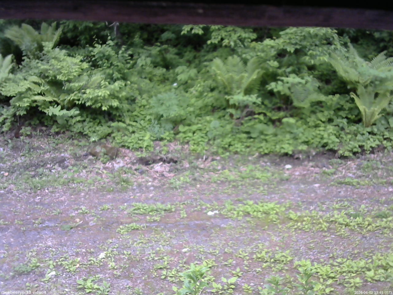 長野県菅平高原 ゆたか山荘 東側(坂下) 2026/06/02 13:45