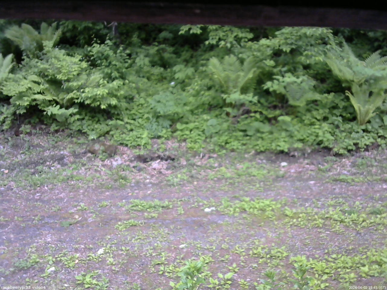 長野県菅平高原 ゆたか山荘 東側(坂下) 2026/06/02 15:45