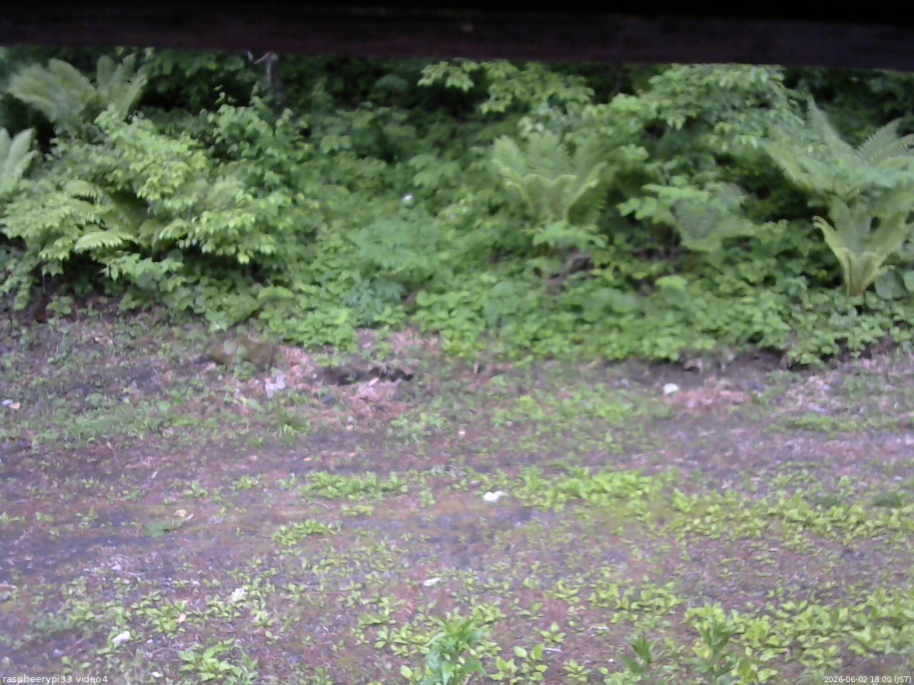 長野県菅平高原 ゆたか山荘 東側(坂下) 2026/06/02 18:00
