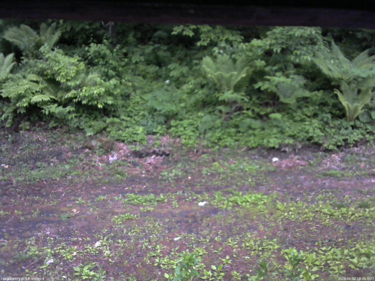 長野県菅平高原 ゆたか山荘 東側(坂下) 2026/06/02 18:30