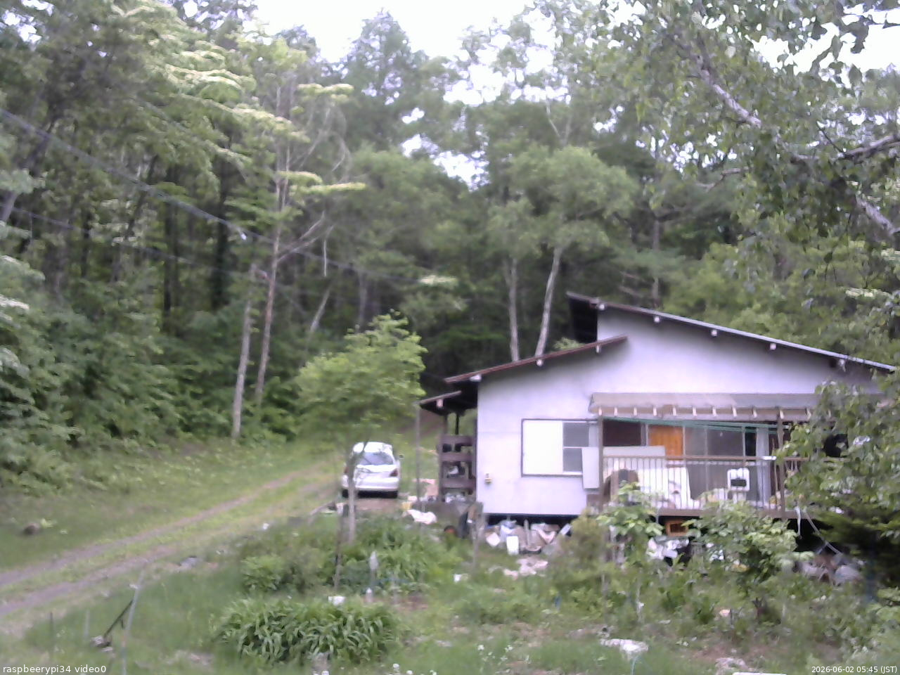 長野県菅平高原 ゆたか山荘 西側(坂上) 2026/06/02 05:45