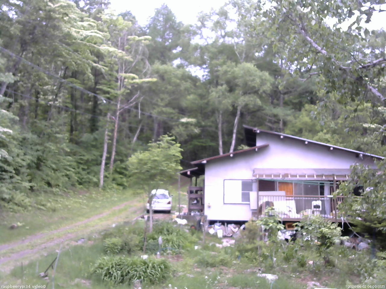 長野県菅平高原 ゆたか山荘 西側(坂上) 2026/06/02 06:00