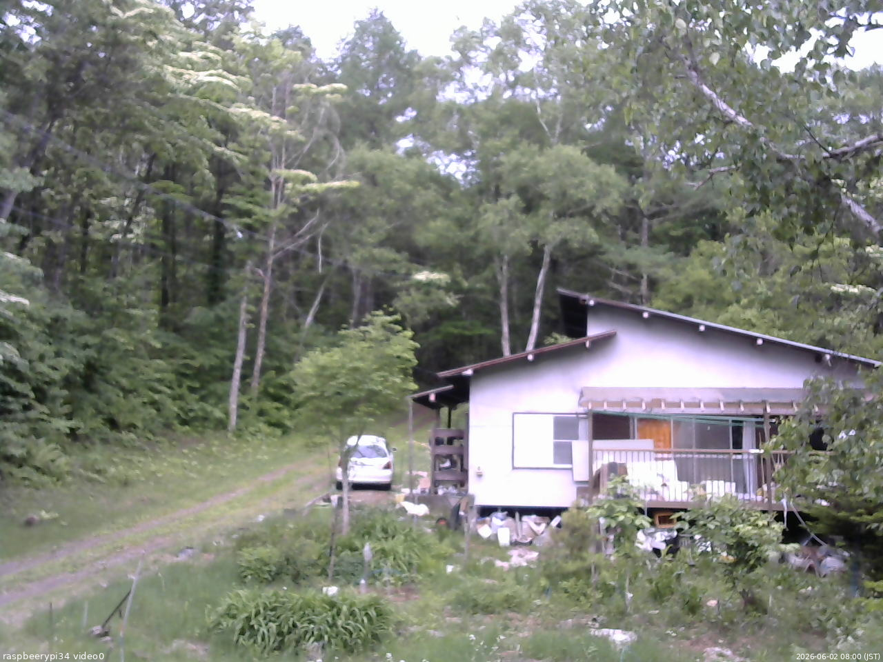 長野県菅平高原 ゆたか山荘 西側(坂上) 2026/06/02 08:00