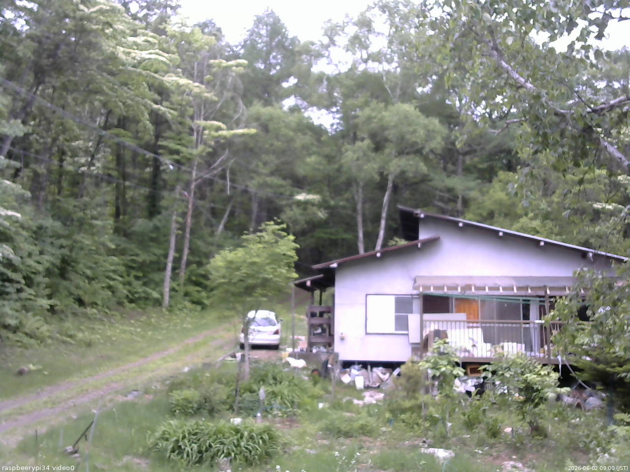 長野県菅平高原 ゆたか山荘 西側(坂上) 2026/06/02 09:00