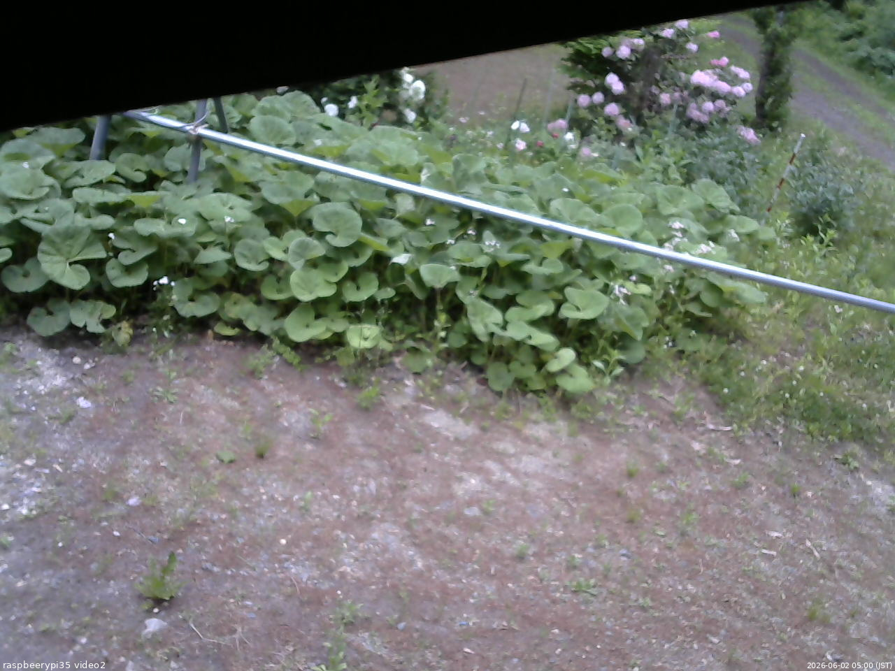 長野県菅平高原 ゆたか山荘 駐車場 2026/06/02 05:00