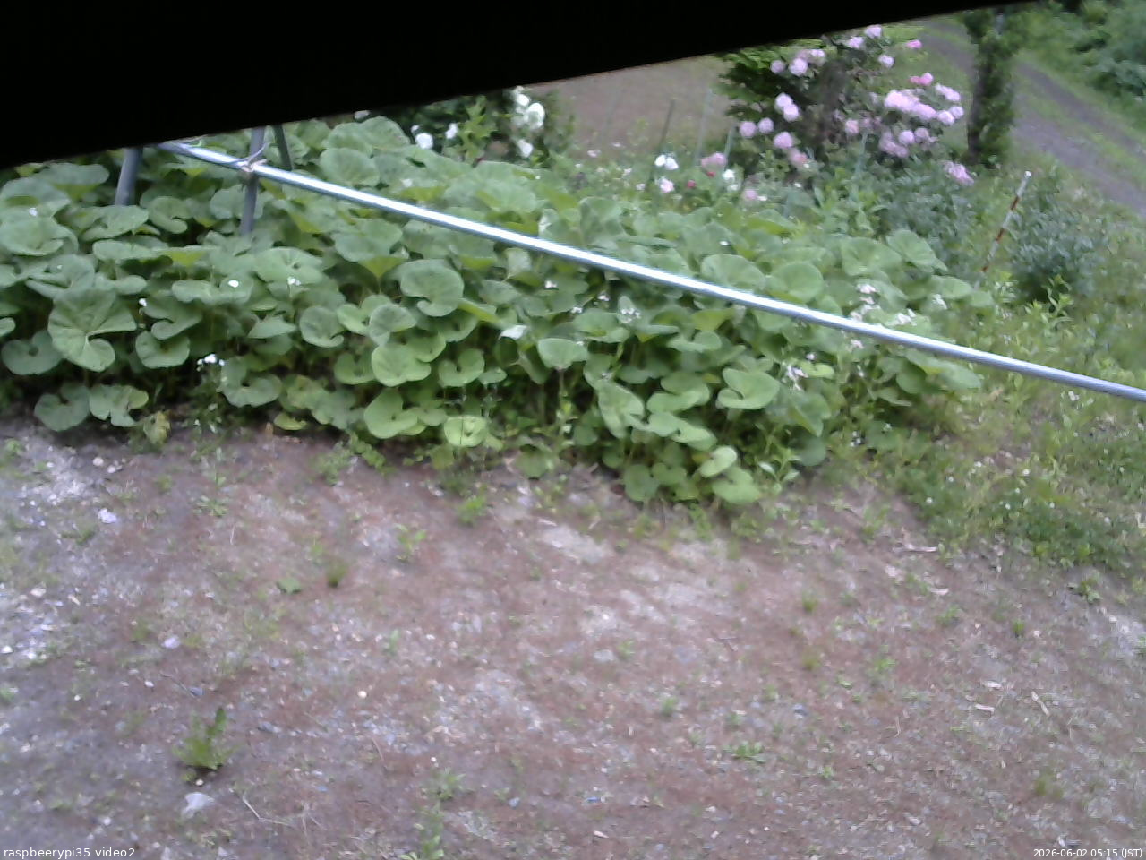 長野県菅平高原 ゆたか山荘 駐車場 2026/06/02 05:15