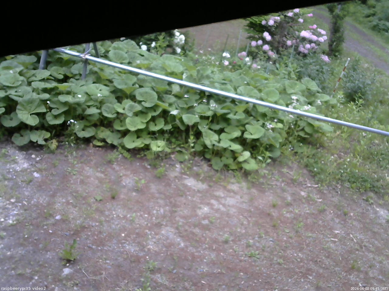 長野県菅平高原 ゆたか山荘 駐車場 2026/06/02 05:45