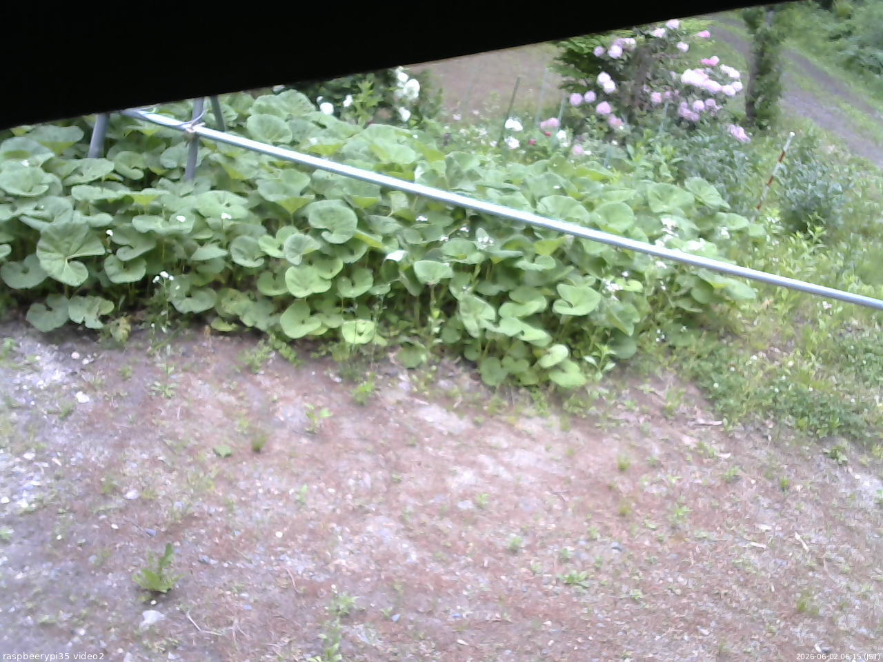 長野県菅平高原 ゆたか山荘 駐車場 2026/06/02 06:15