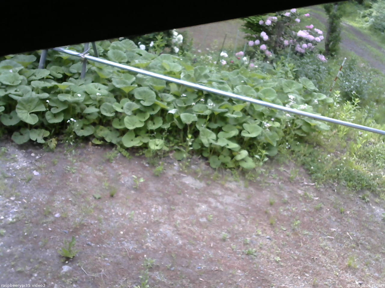 長野県菅平高原 ゆたか山荘 駐車場 2026/06/02 06:45