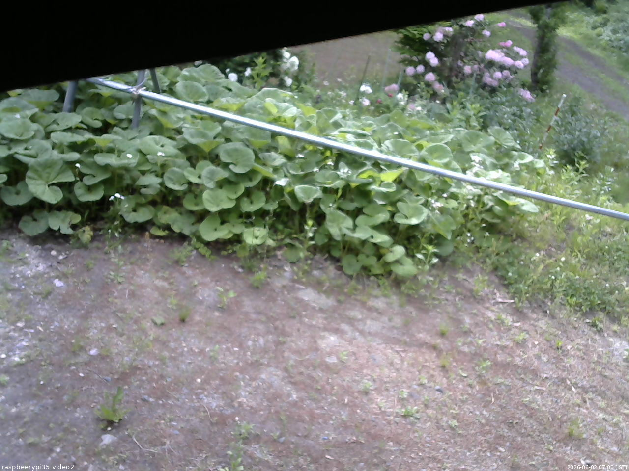 長野県菅平高原 ゆたか山荘 駐車場 2026/06/02 07:00