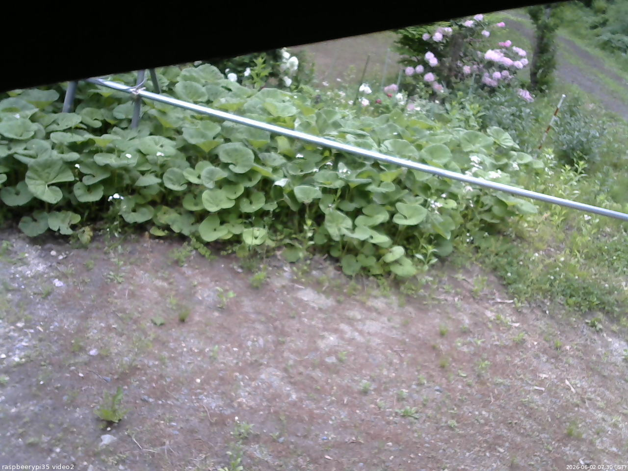 長野県菅平高原 ゆたか山荘 駐車場 2026/06/02 07:30