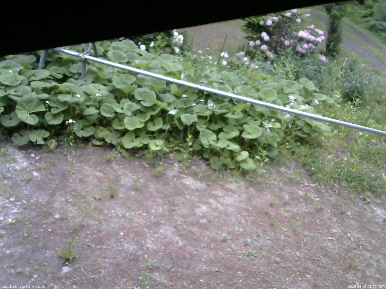 長野県菅平高原 ゆたか山荘 駐車場 2026/06/02 08:00